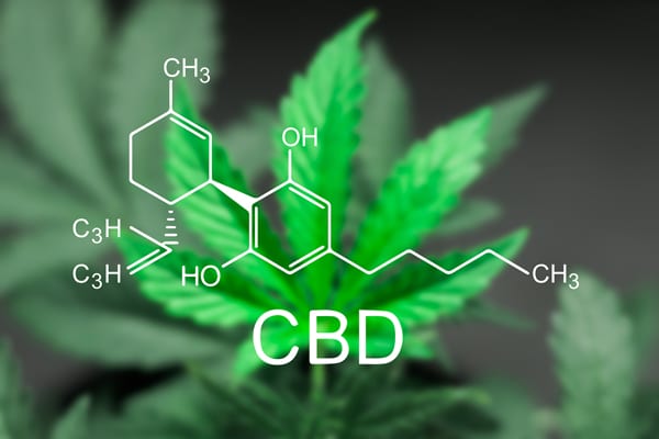 What is CBD Oil