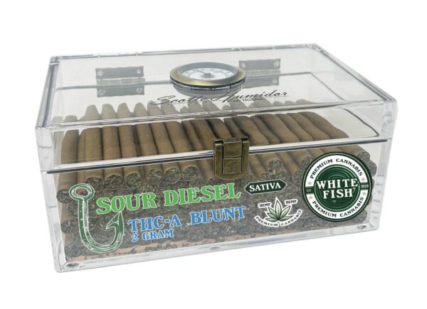 White Fish THCa 2g Blunts - Image 3